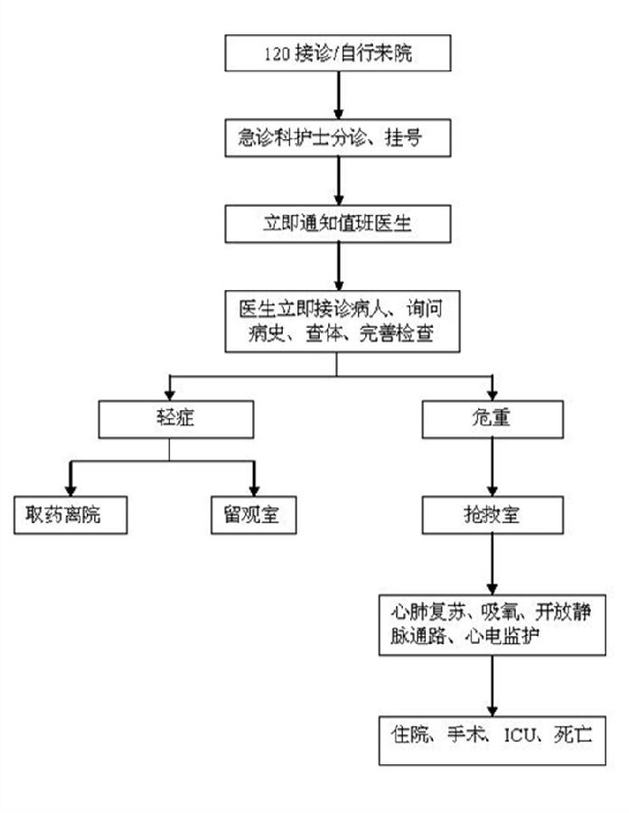 急診服務流程.JPG